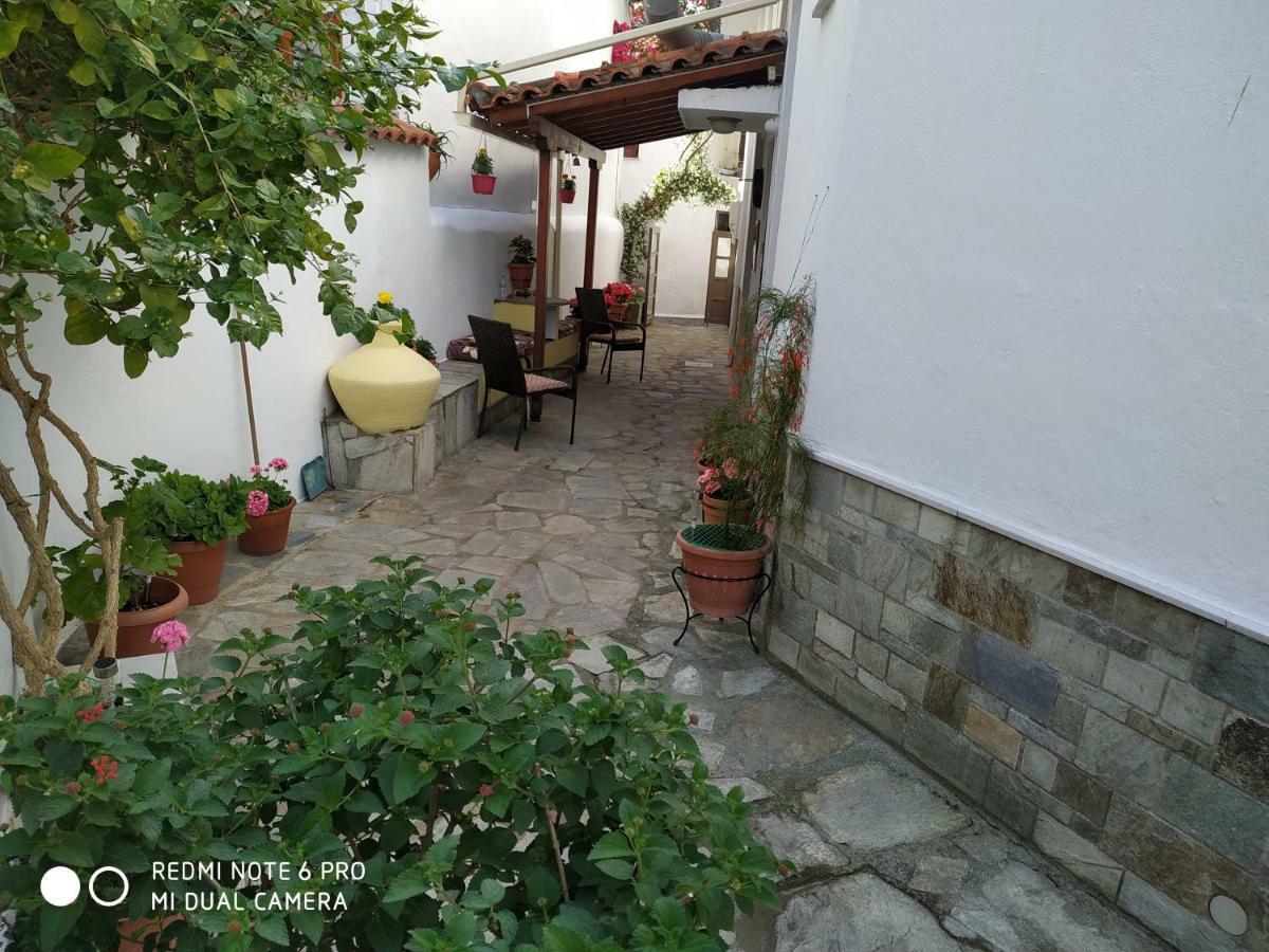 Pension Nikolas สเกียธอสทาวน์ ภายนอก รูปภาพ